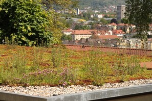 A rooftop garden with a variety of plants and flowers, a stone pathway, and a view of a town with buildings in the background. - Apartment '2-Raum- A43 Mit Küche' with Shared Garden and Wi-Fi (Lörrach)