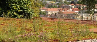 Apartment '2-Raum- A43 Mit Küche' with Shared Garden and Wi-Fi
