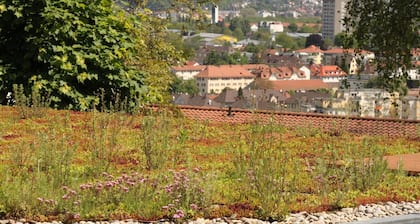 Apartment '2-Raum-A43 mit Küche', Gemeinschaftsgarten & WLAN