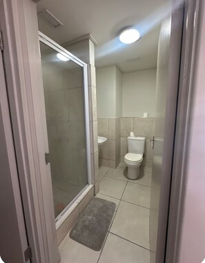 Shower, towels, toilet paper - Charming 2-bedroom apartment in Cape Town (Cape Town)