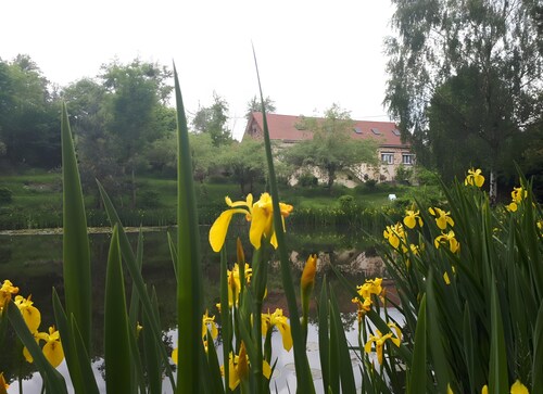 Holiday Home “Gîte for 18 People with Pond” with Lake View