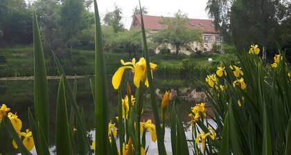 Holiday Home “Gîte for 18 People with Pond” with Lake View