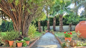 A garden pathway flanked by potted plants and a stone wall. - VFH The Sicilian Dream Pool Villa (Altavilla Milicia)