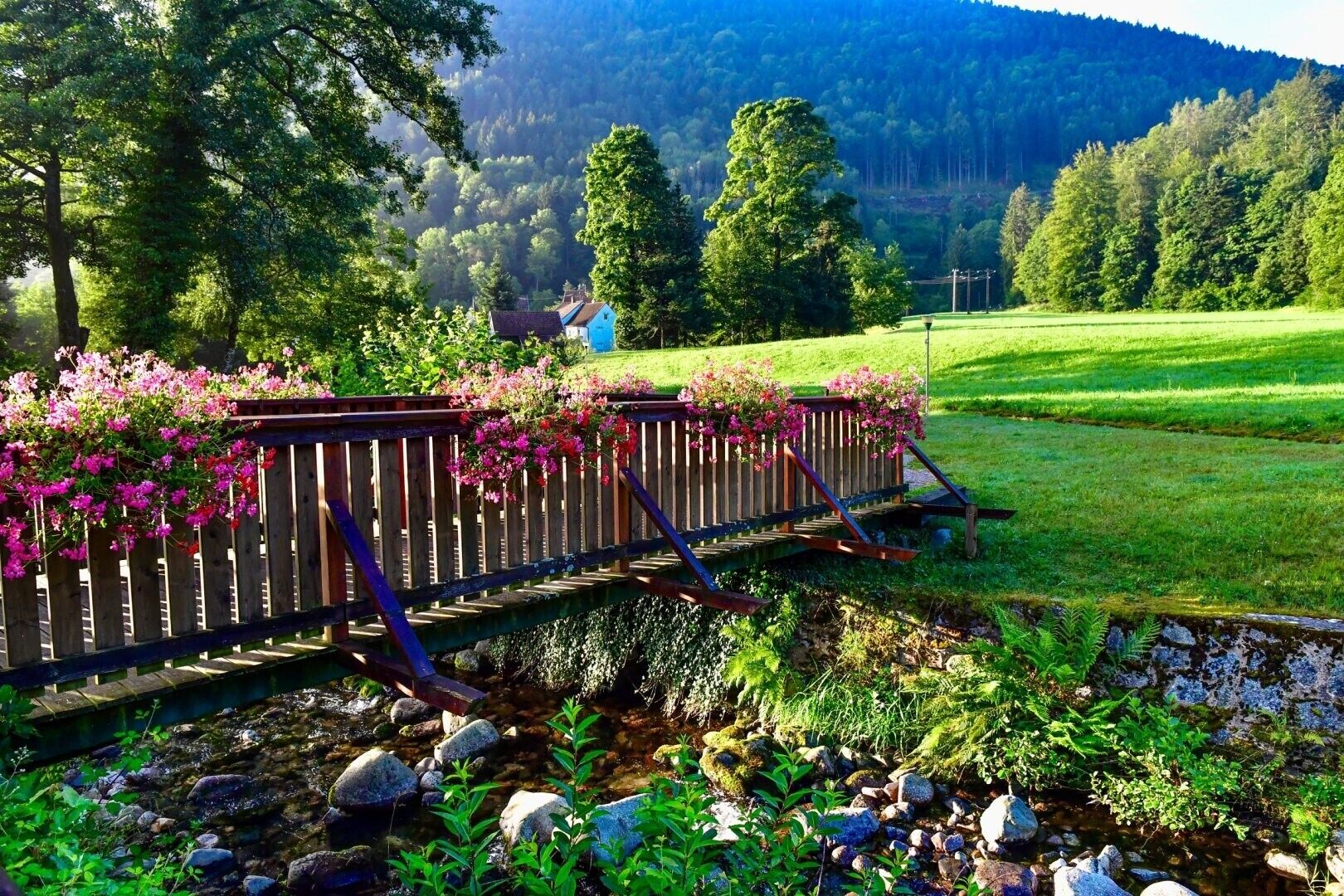 Terrein van de accommodatie