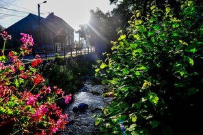 Property grounds - Gite Les Jonquilles in Mittlach – Spacious, Peaceful Ground-Floor Retreat (Mittlach)