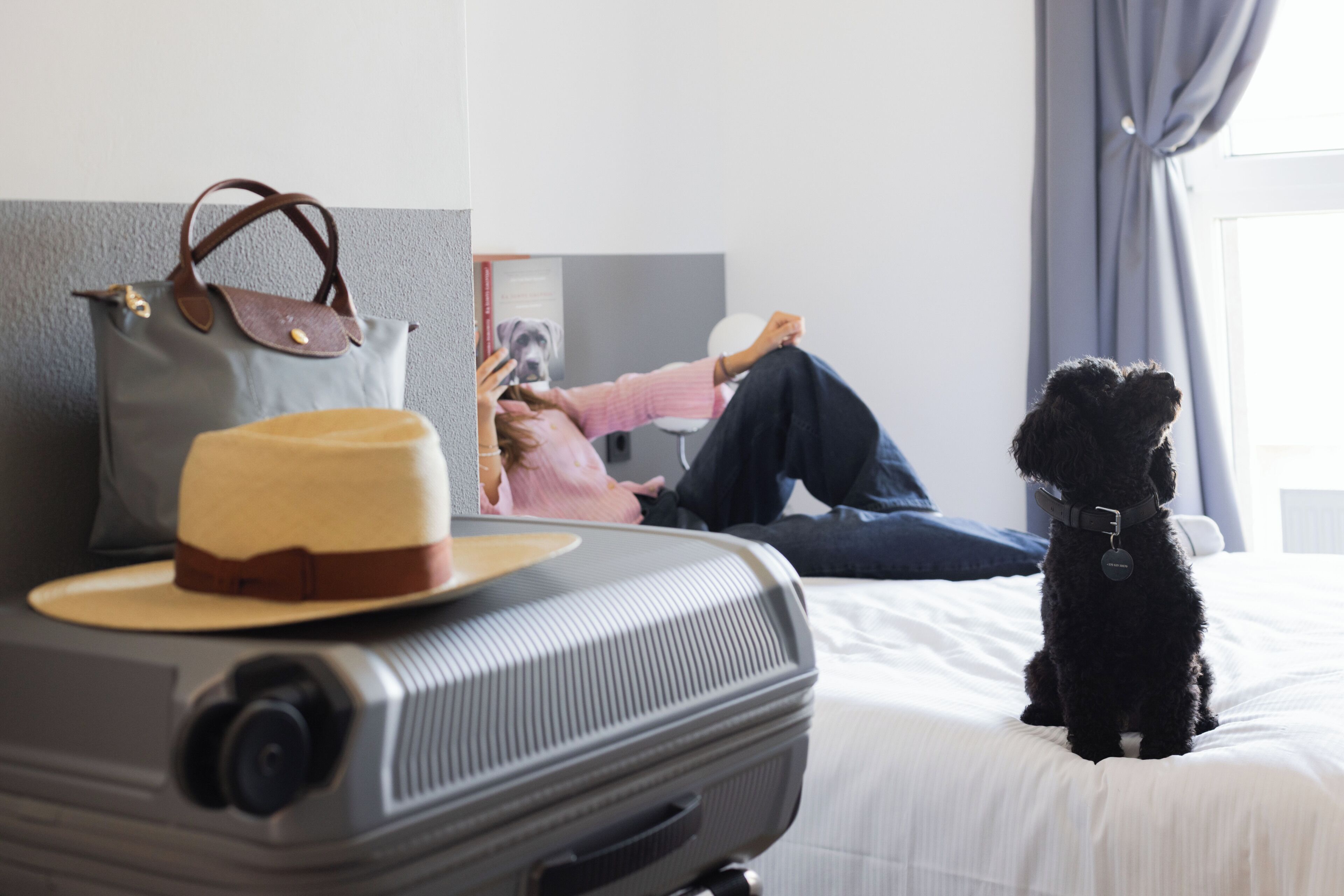 A bed with a suitcase, a hat, and a dog.