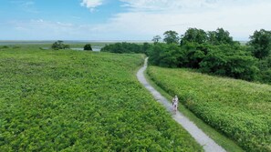 A pathway through a green landscape with trees on one side and open fields on the other. - Game Room, Cozy & Mins to Beaches! (Eastham)