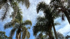 Un camino que lleva a un edificio con un letrero que dice 'SUITES IPES'.