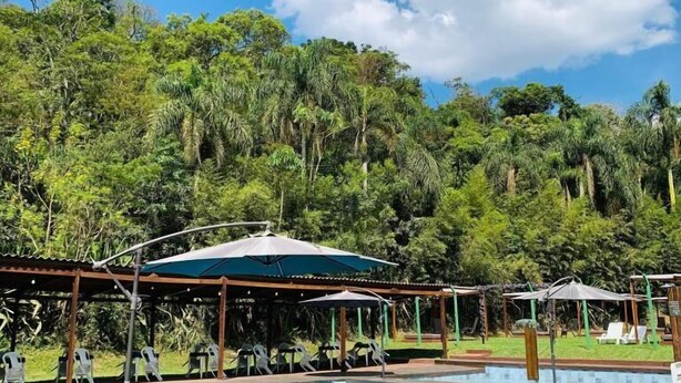 Un área de piscina con sillones de descanso y sombrillas, rodeada de abundante vegetación.