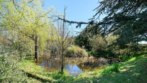 A natural landscape with a pond, trees, and a grassy area. - Gîte de Marlas - Ariège (Rieucros)