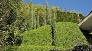 Área da propriedade