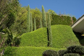 Área da propriedade