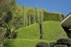 Área da propriedade