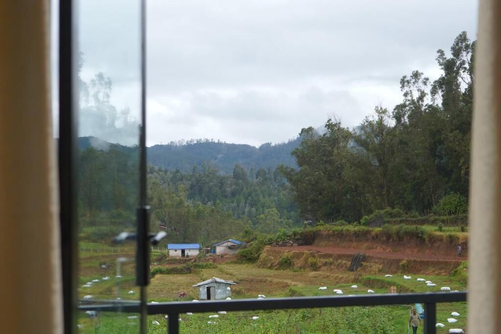 Family Studio | Interior