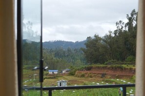 แฟมิลี่สตูดิโอ | ภายใน