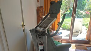 A stationary exercise bike in a room with a patterned rug, a door, and a view of a garden through a glass door.