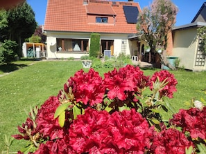 Property grounds - HELLO AND WELCOME. (Rostock)