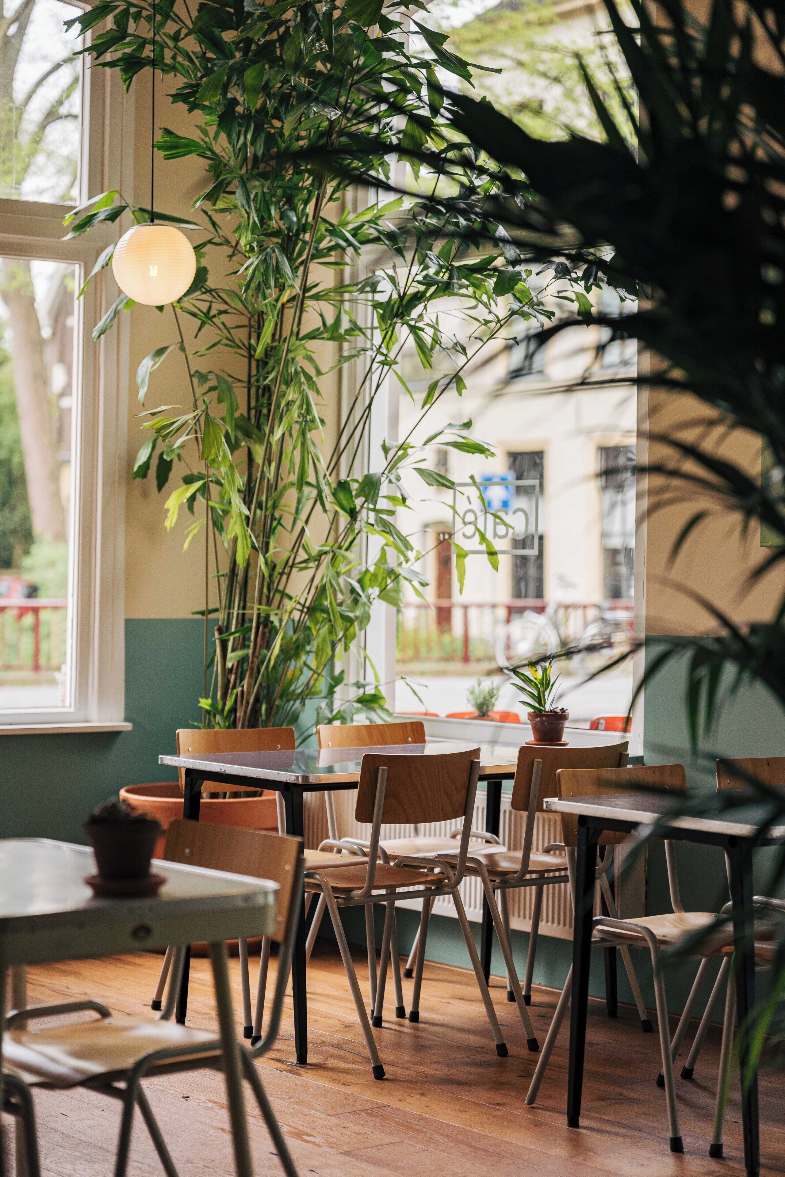 Un comedor con mesas, sillas y plantas en macetas.