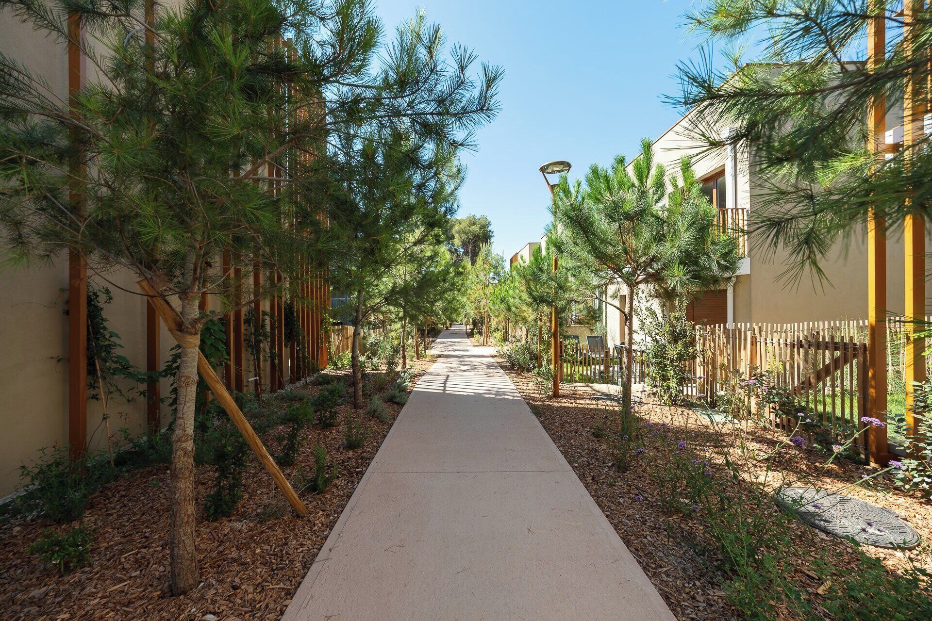 Un sendero bordeado por árboles y edificios que conduce a la entrada de un edificio.
