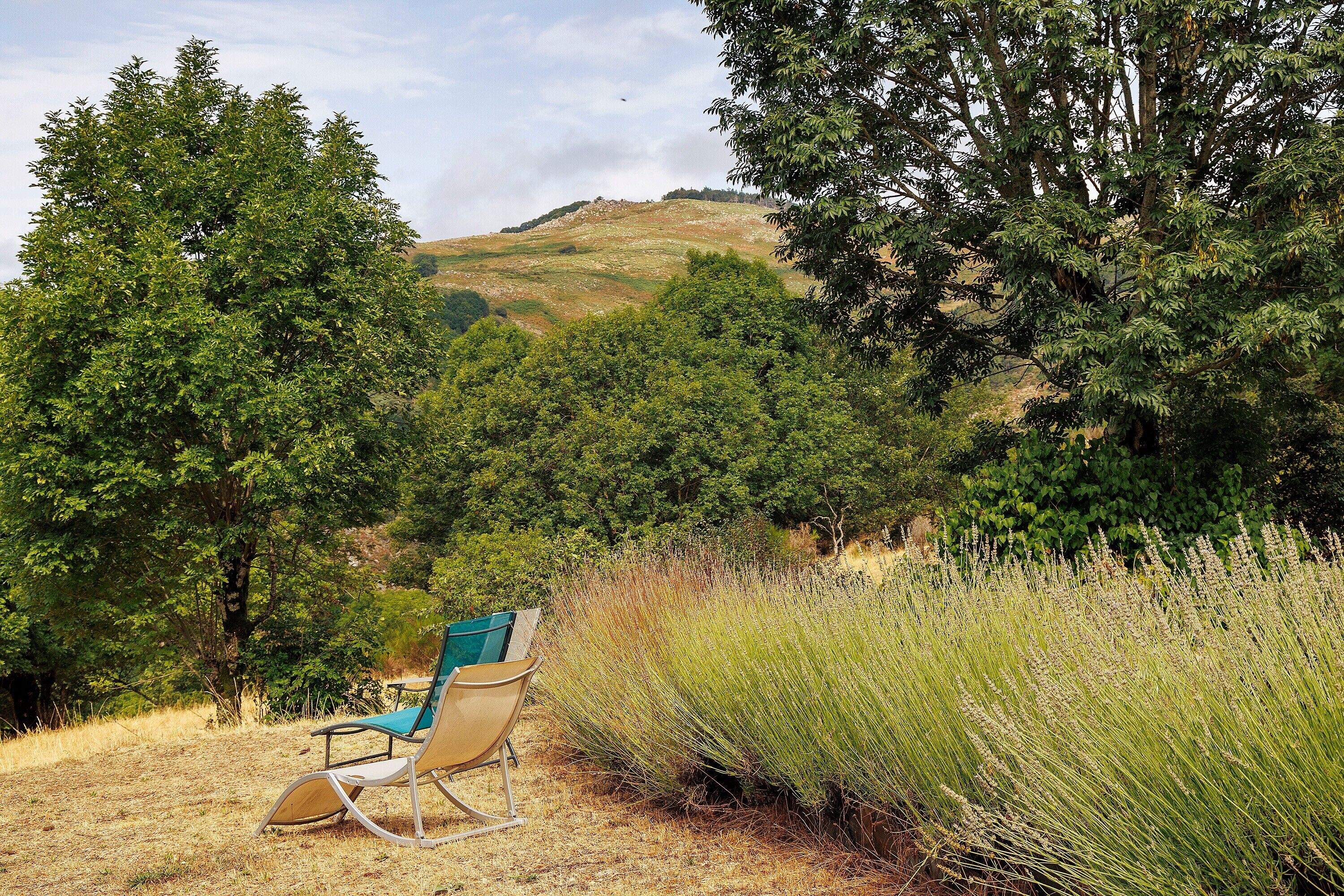 A chair in a natural setting with trees and grass.