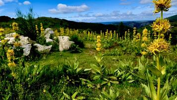 Jardines del alojamiento