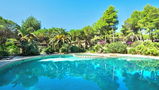 A clear swimming pool surrounded by lush greenery and trees. - Residence with swimming pool in Santa Margherita di Pula (Santa Margherita di Pula)