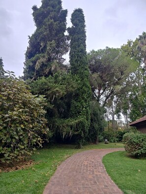 Ein gepflasterter Weg schlängelt sich durch einen Garten mit üppiger Vegetation und hohen Bäumen.