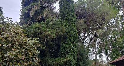 Fifth house in City Bell 300 mts gastronomic pole and 40min from the obelisk.