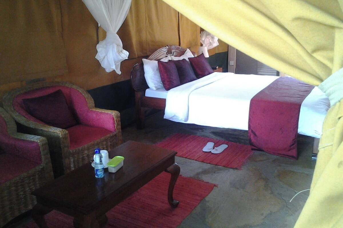 A room with a bed, a chair, a table, and a mosquito net.