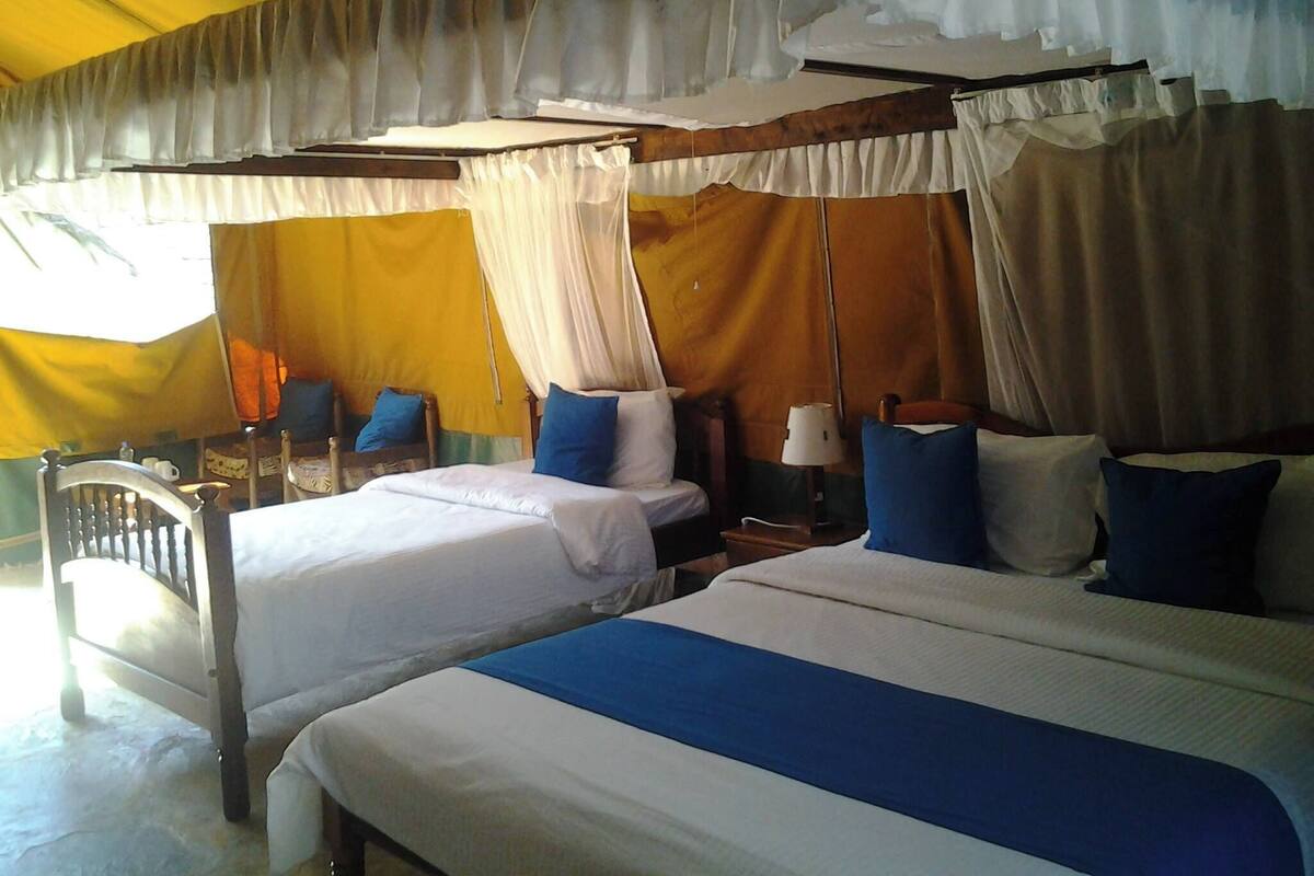 A room with two beds, a canopy bed, a wooden chair, a nightstand with a lamp, and a window with curtains.
