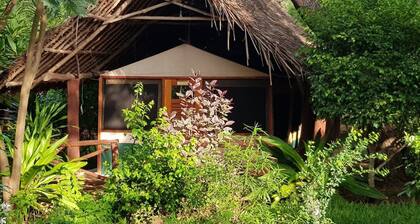 Bofa Beach Resort