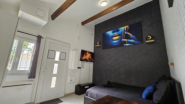 A bedroom with a bed, a TV, a fireplace, and a door with a window. - Maisonnette Grande Hauteur Near Paris & Stade De France (Drancy)