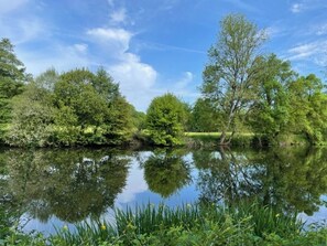 Imagem sem classificação, 4 de 19, botão