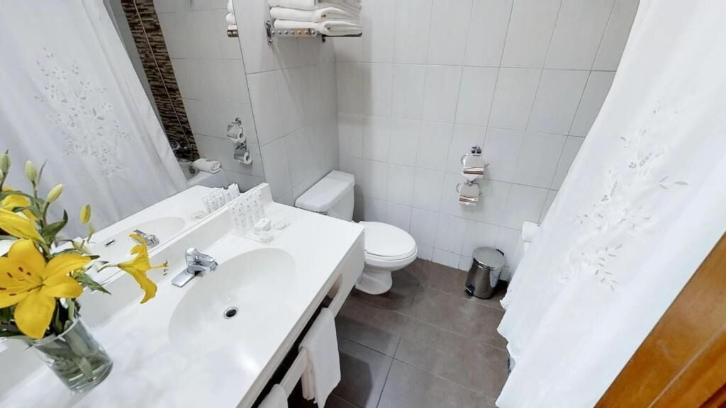 A bathroom with a white sink, mirror, and toilet, a trash bin, and a shower curtain.