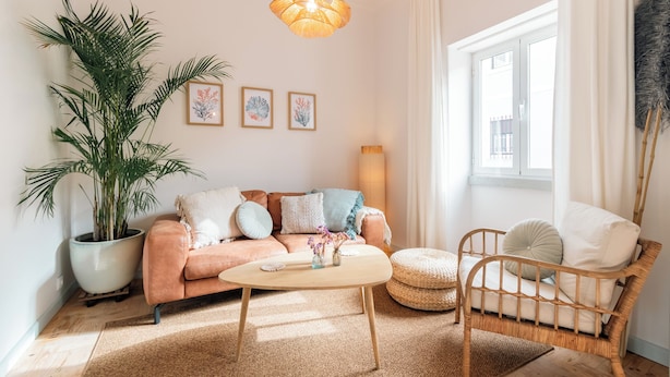Ein gemütliches Wohnzimmer mit einer Couch, einem Couchtisch, einer großen Kübelpflanze und einem Korbstuhl.