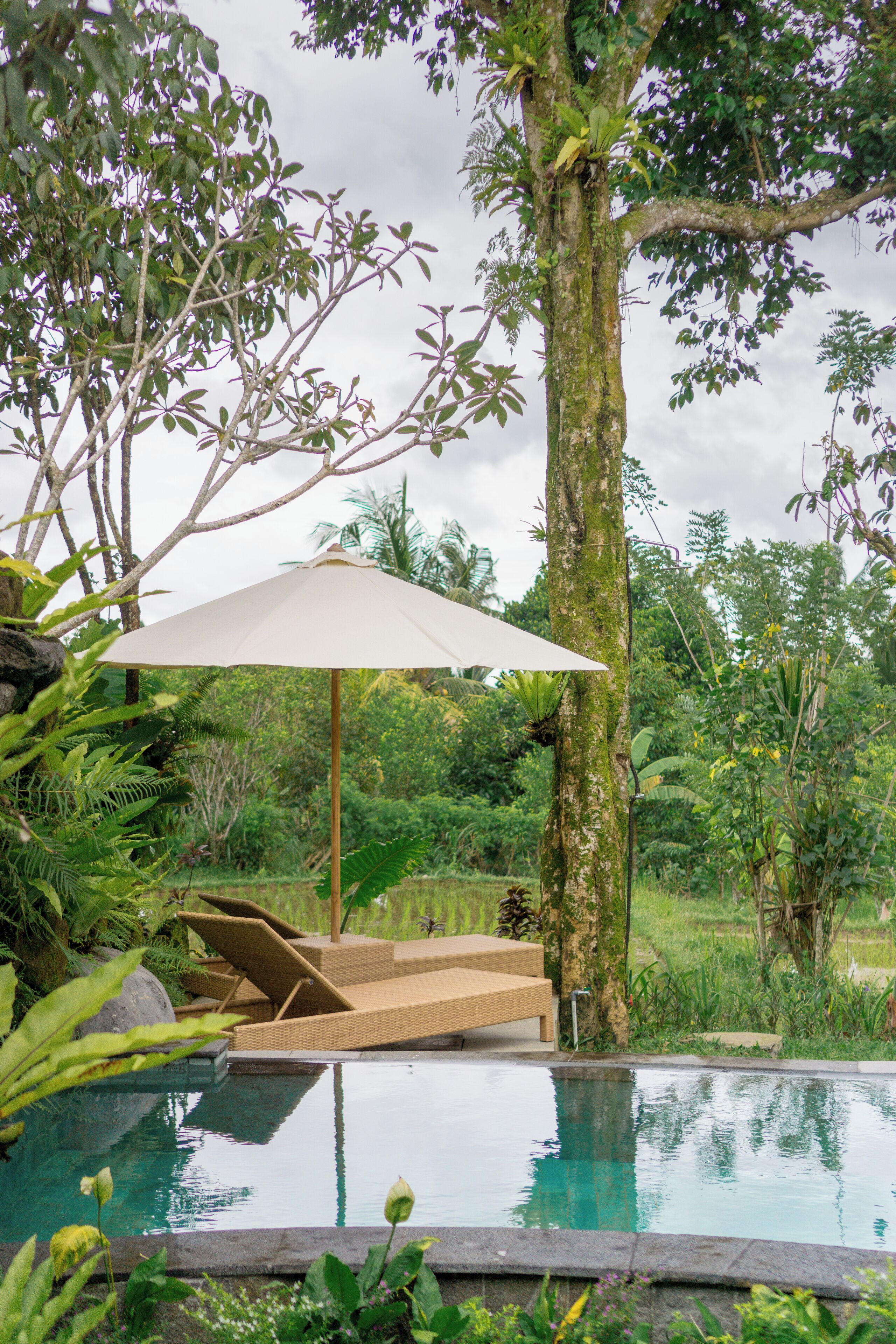 Deluxe Villa, Private Pool | Pool