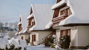 A row of chalet-style buildings with steep roofs and wooden balconies, surrounded by snow-covered trees. - PRZY TERMACH - Pokoje Apartamenty Domki (Szaflary)