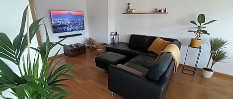 Smart TV, stereo, computer monitors