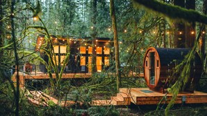 Een blokhut in een bos met lichtjes en houten constructies.