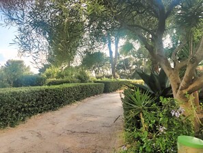 Parco della struttura