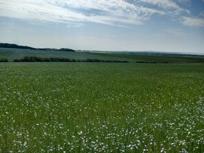 Miscellaneous - Guest Room "Ferme Des 4 Vents - Alizé" with Sea View and Wi-Fi (Audinghen)
