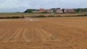 Paisaje rural con un campo arado, un tractor y edificios agrícolas.