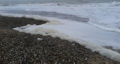 Gßte Rural La Mousson, Studio : Vue Mer, Jardin Partagé et Wi-Fi
