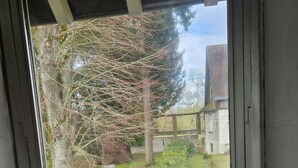 A window with a view of a garden and a building in the background.