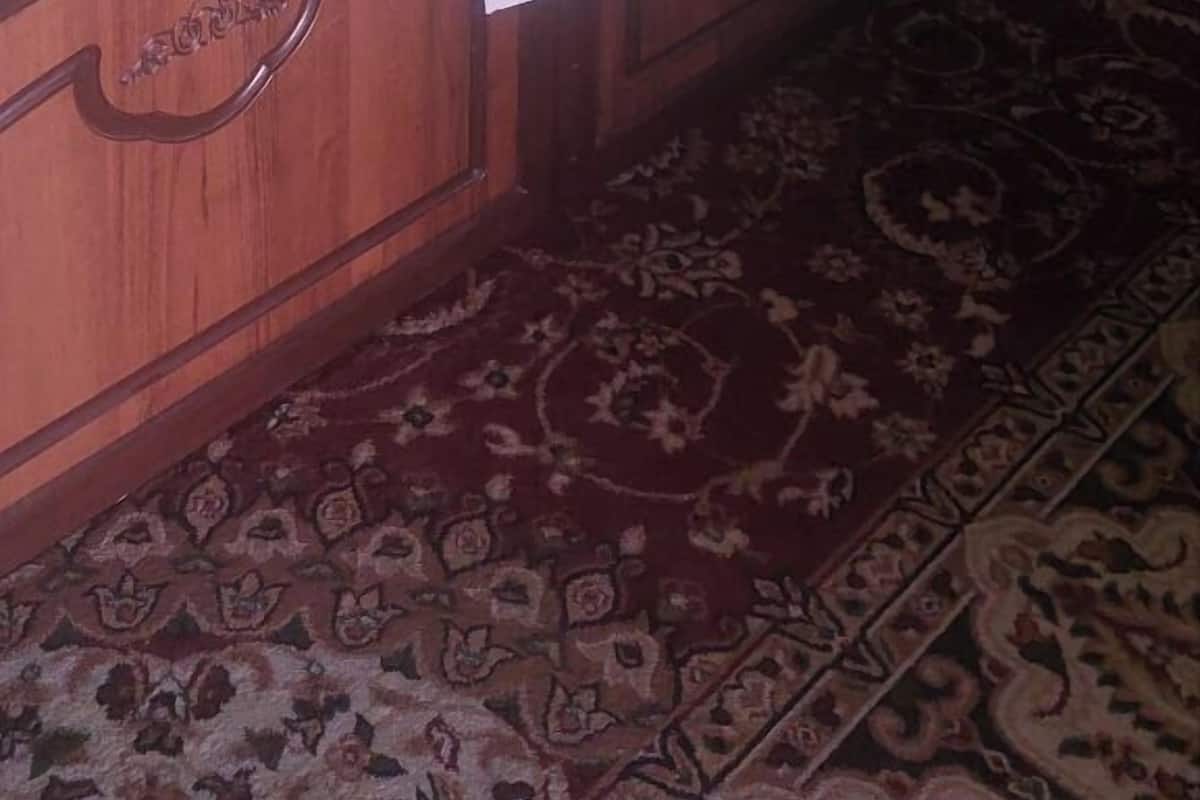 A room with two beds, a patterned carpet, and a ceiling fan.