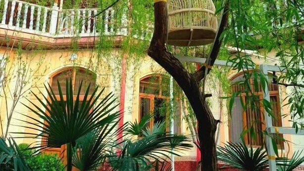 Ảnh chưa phân loại, 1 trong số 15 ảnh, nút