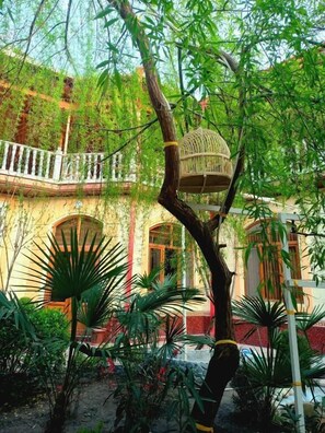 Ein Baum mit einem daran hängenden Vogelkäfig, umgeben von üppiger Vegetation und einem Gebäude mit Bogenfenstern und einem Balkon.