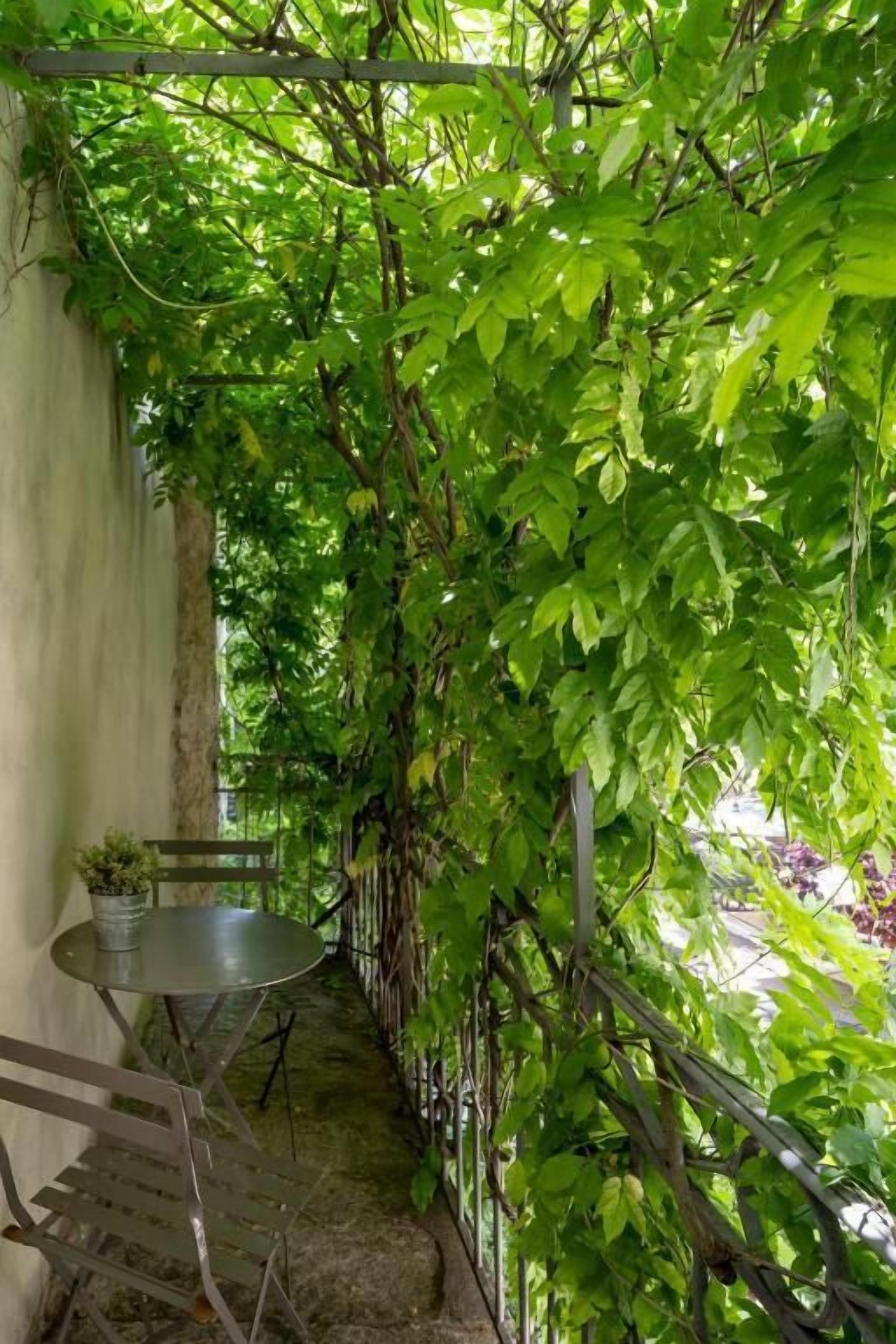 Habitación doble Deluxe, balcón, vista al patio | Restaurante al aire libre