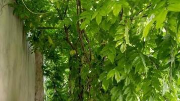 Habitación doble Deluxe, balcón, vista al patio | Restaurante al aire libre