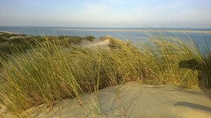 A coastal landscape with sand dunes and grass. - Studio "Les Dunes" with Shared Pool, Les Cigales du Bassin in Gujan-Mestras (Gujan-Mestras)